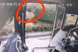 人力板车突发自燃，公交驾驶员果断相助