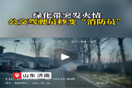 绿化带突发火情 公交驾驶员秒变“消防员” #济南公交 #正能量