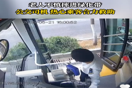 老人不慎摔进绿化带 公交司机热心乘客合力救助 #济南公交#正能量